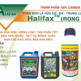 Halifax™ (Rong Biển) HỮU CƠ - ĐA - TRUNG LƯỢNG BOLY