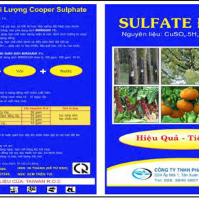 SULFATE ĐỒNG 1KG AN DÂN