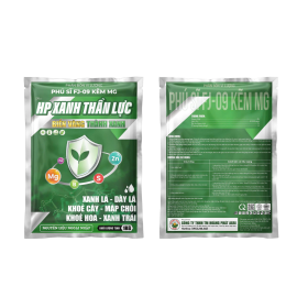 HP XANH THẦN LỰC FJ-09 KẼM MG 1KG HOÀNG PHÁT