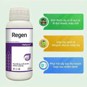 REGEN 500ML VNFARM