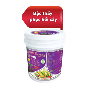 SUPER TRONG BA TỐT