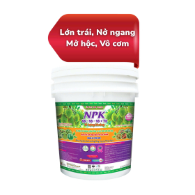NPK 18-18-18 +TE BA TỐT