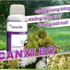 CANXI BO 1L VNFARM