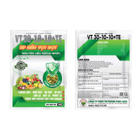 HP SIÊU VỌT ĐỌT VT-30-10-10+TE 1KG HOÀNG PHÁT