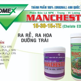 MANCHESTER NPK - TRUNG - VI LƯỢNG 15-30-15+TE (CHELATE EDTA) BOLY