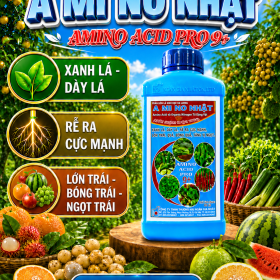Phân bón lá A MI NO NHẬT - AMINO ACID PRO 9+