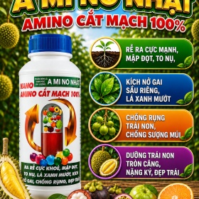 AMINO NHẬT - Nano Amino cắt mạch (NCP)