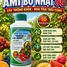 Phân bón AMI BO NHẬT 99 BORON+ACID AMIN Gold (NCP)