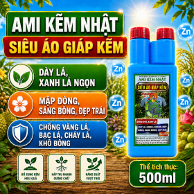 Phân bón lá AMI KẼM NHẬT - SIÊU ÁO GIÁP KẼM (NGN)