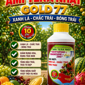 Phân bón lá AMI TERA NHẬT GOLD77 (NCP)