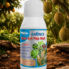AMINO - KÉO ĐỌT MẬP ĐỌT 500ML AN DÂN