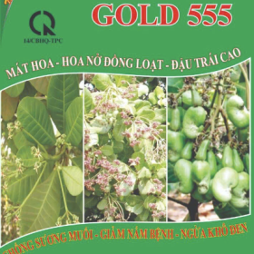 PHÂN BÓN GREENFIELD GOLD 555