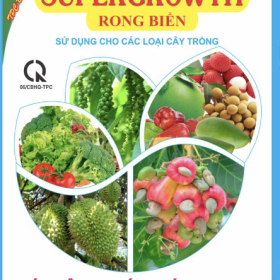 SUPERGROW RONG BIỂN - TẤT CẢ CÂY TRỒNG