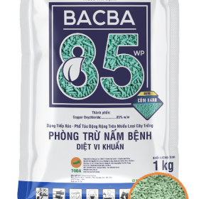 THUỐC TRỪ BỆNH BACBA 85WP 