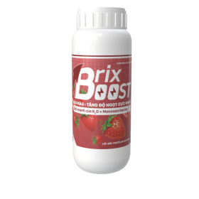 PHÂN BÓN LÁ NPK BRIX BOOST