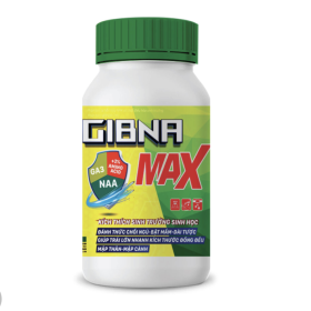 PHÂN BÓN GIBNA MAX