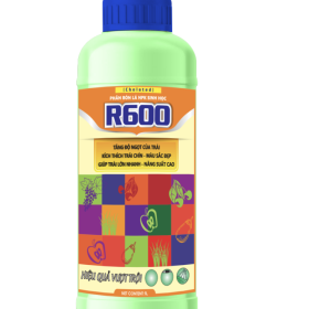 PHÂN BÓN LÁ NPK SINH HỌC R600