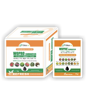PHÂN BÓN LÁ CAO CẤP WOPRO CAMAGFLEX