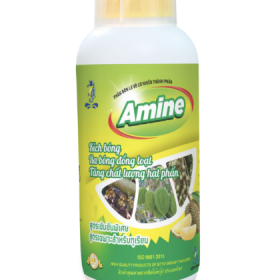 Phân bón lá SITTO AMINE chuyên sầu riêng (Chai 500ml)