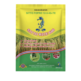 SITTO FOPRO 12-3-43+TE (SITTO RICE 666) (Gói 50g)