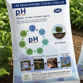 CHẾ PHẨM SINH HỌC CÓ ÍCH CANOLA 02 (Trường Huy)
