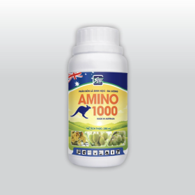 Phân bón lá sinh học AMINO 1000 Chai 250ML 