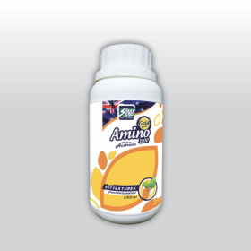 Phân bón sinh học Gold AMINO 1000