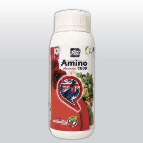 Phân bón AMINO 1000 TNPLAM02