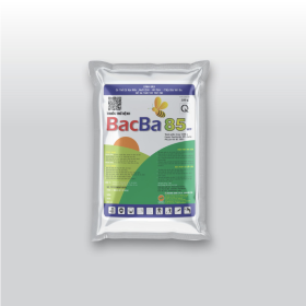Thuốc trừ bệnh BACBA 85WP GÓI 100G TNBVBA02