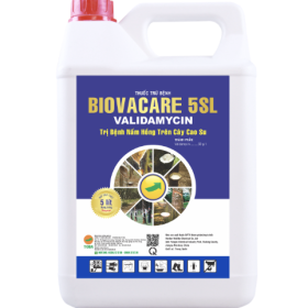 Thuốc Trừ Bệnh BIOVACARE 5SL VALIDAMYCIN CAN 5 LÍT