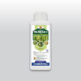 Thuốc Trừ Bệnh TB-HEXA 5SC 480ml