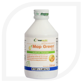 Map Green 6SL 