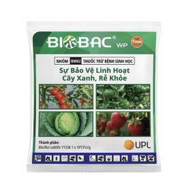 Thuốc trừ bệnh sinh học BIOBAC WP 