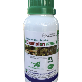 Thuốc trừ bệnh CHAMPION 37.5SC