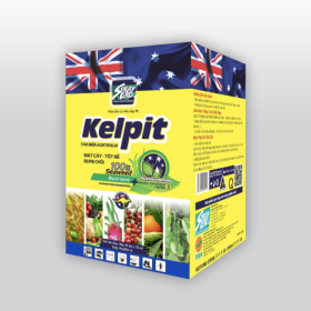Phân bón KELPIT HỘP 10 Gói 25ml