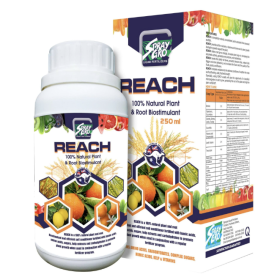PHÂN BÓN LÁ REACH 250ML 