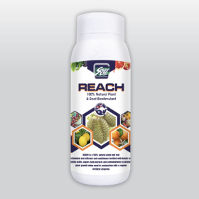 PHÂN BÓN LÁ REACH 500ML