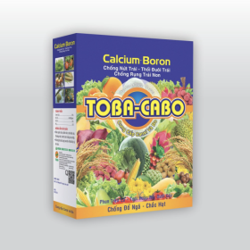 PHÂN BÓN LÁ TOBA CABO (CABO BORON) HỘP 1KG