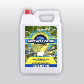 Phân Bón TOBA MICRACLE GROW Sầu Riêng 5 LÍT