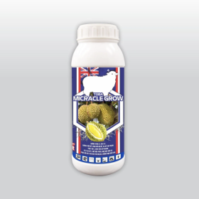 Phân Bón TOBA MICRACLE GROW Sầu Riêng 1 LÍT