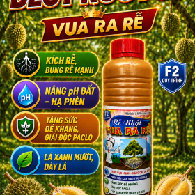 Phân bón BEST ROOT 09 Vua ra rễ (NGN)