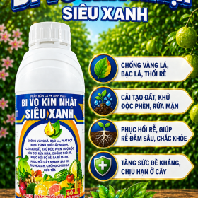 Phân bón lá PK BI VO KIN NHẬT SIÊU XANH (NCP)