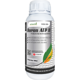BORON ATP