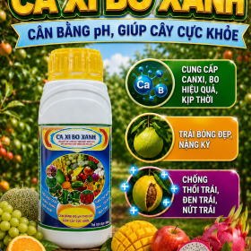 CA XI BO XANH cho cây ăn trái (NGN)