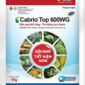CabrioTop 600WG