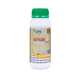 CASI PRO APN
