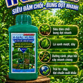 Phân bón H GIÀU HUMIC Siêu đâm chồi (NGN)