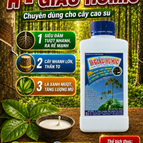 H GIÀU HUMIC dành cho cây Cao su (NGN)