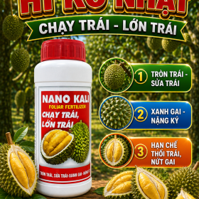 Phân bón lá HI KO NHẬT Nano Kali (NCP)