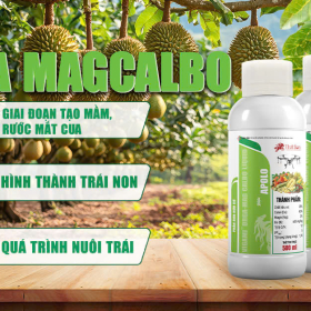 VIGAMI® ORGA-MAG CALBO LIQUID - APOLO